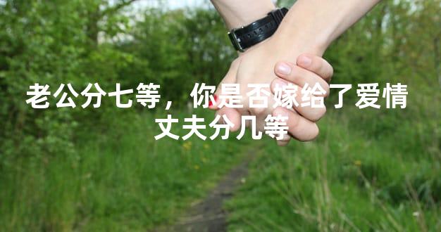 老公分七等，你是否嫁给了爱情 丈夫分几等